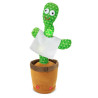 CACTUS BAILARIN Y CANTARIN EN CAJA REGALO