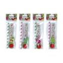 SET 4 PCS PAPETERIE TROPICALE EXOTIQUE