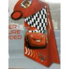 LOTE CUMPLEANOS DISNEY CARS 4 PIEZAS 1 DE REGALO