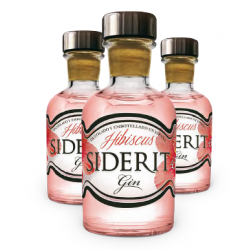 Mini Bouteille De Genève Hibiscus 5 Cl.