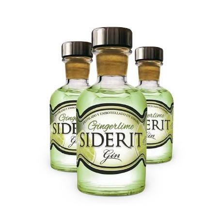 Mini Bottle Geneva Ginderlime 5 Cl.