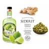 Mini Bottle Geneva Ginderlime 5 Cl.